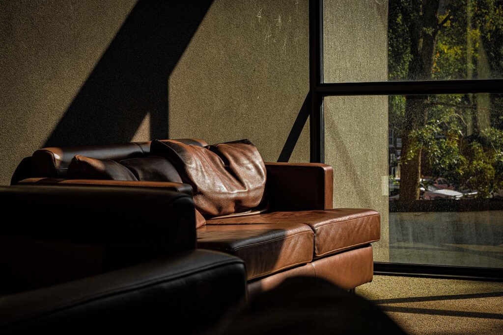 Luxury leather sofa in a modern living room with natural sunlight and large window.